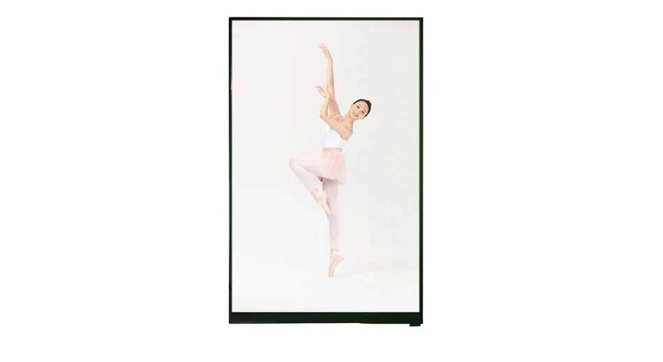 Z116001 Type de barre 11.6 pouces 1920*1080 IPS LCD Interface LVDS TFT