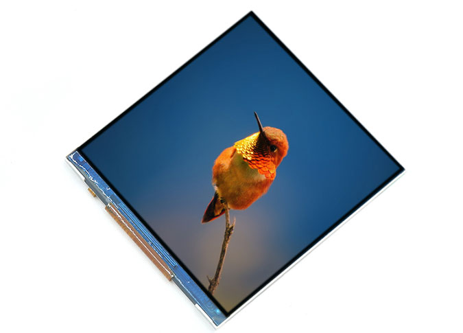 china custom lcd display