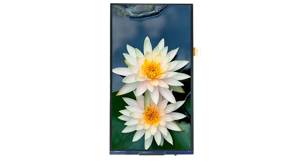 Z70079 720P 7 pouces 720*1280 écran LCD MIPI Interface JD9366AB Pilote IC 30PIN