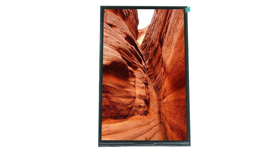 Z101020 LCD Mufacertor 10.1 personnalisée 800*1280 pouces Panneau LCD GH8555 IC Pilote MIPI