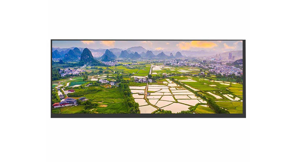 Z123003 12.3 pouces TFT LCD 1920*720 50PIN LVDS 400 lentes Vue d'ensemble