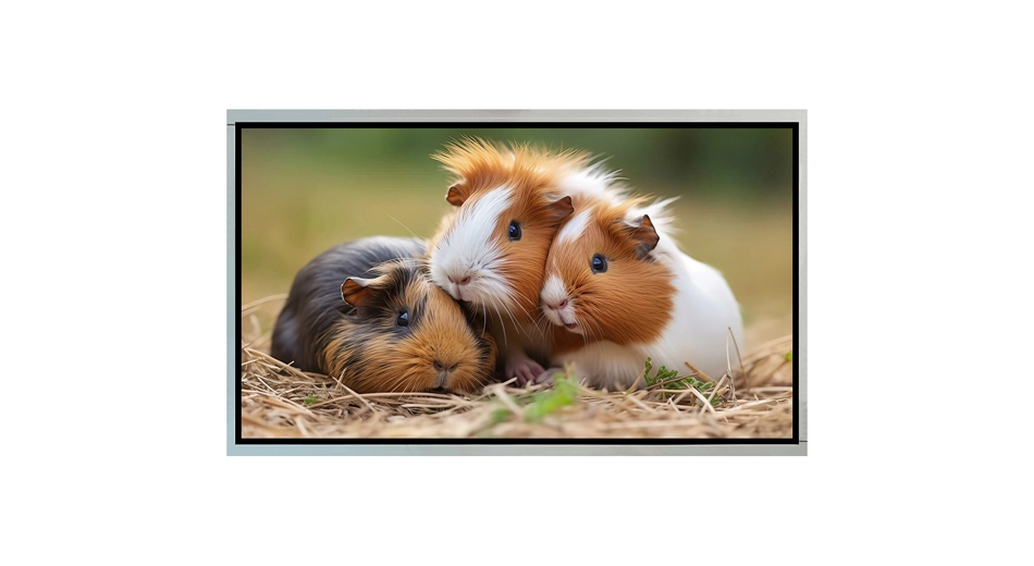 Z215001 Écran de moniteur de 21.5 pouces 1920x1080 LVDS Interface haute vitesse TFT LCD